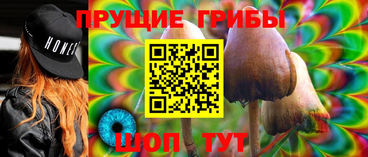 Избербаш  Галлюциногенные грибы мицелий  Псилоцибиновые грибы прущие грибы  Вход с VPN 