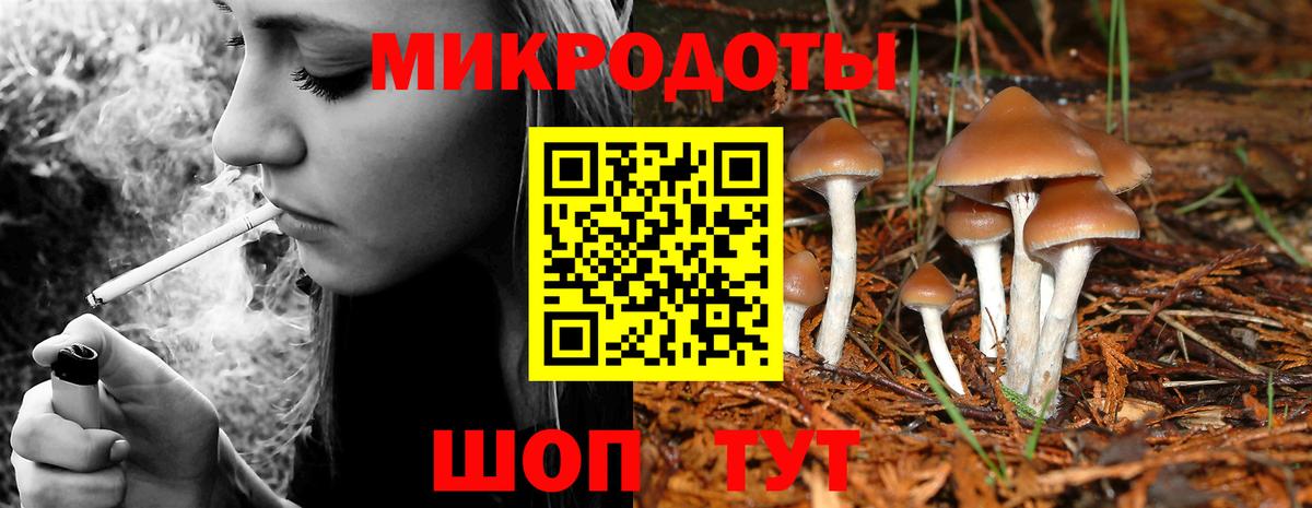 Галлюциногенные грибы Psilocybine cubensis Избербаш